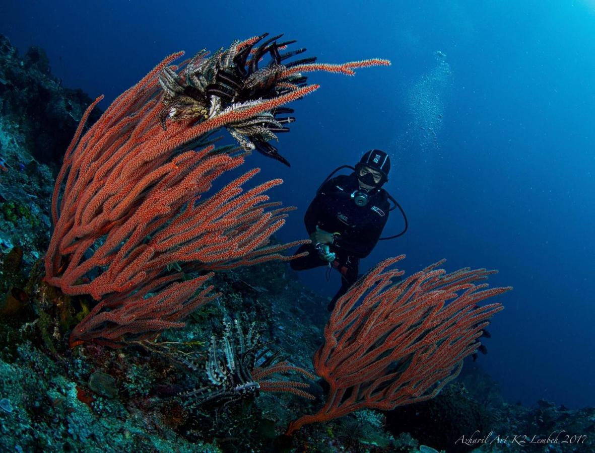 K2 Lembeh Dive Resort Bitung Ngoại thất bức ảnh