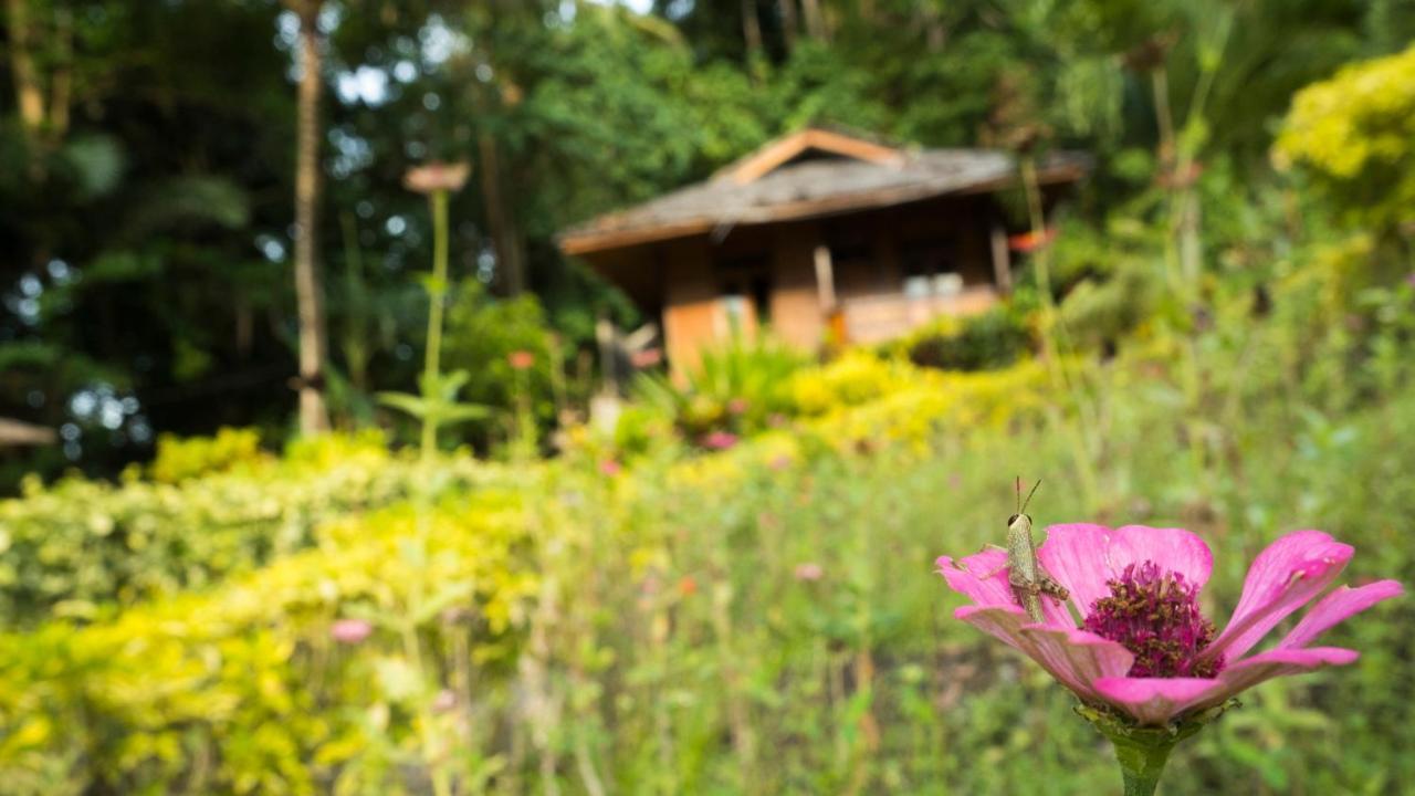 K2 Lembeh Dive Resort Bitung Ngoại thất bức ảnh